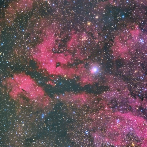 はくちょう座サドル近傍の散光星雲ＩＣ１３１８