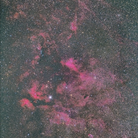 はくちょう座サドル近傍の散光星雲