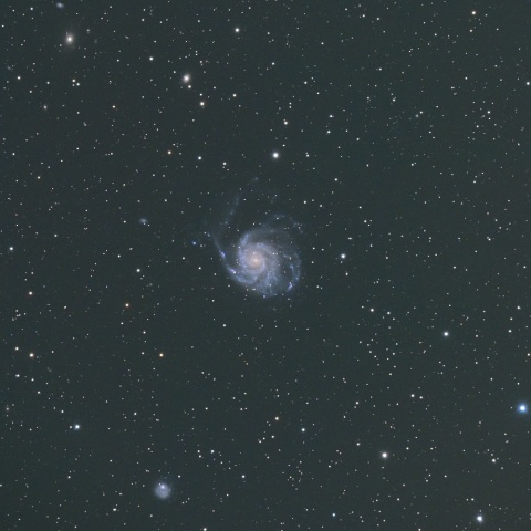 ６月１６日のＭ１０１、超新星（ＳＮ２０２３ｉｘｆ）