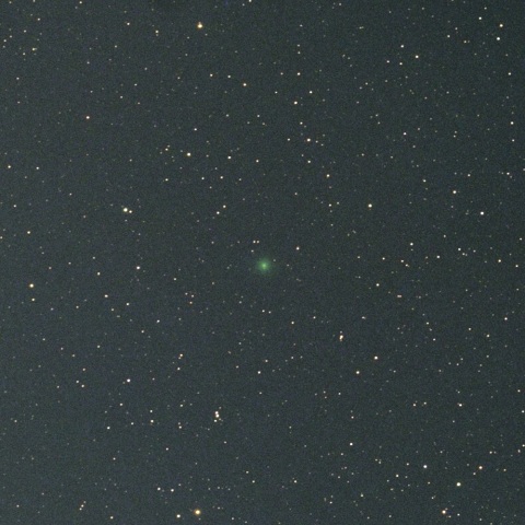 ８月１７日未明の西村彗星（Ｃ/２０２３ Ｐ１）