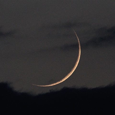 極細の月（８月１８日）