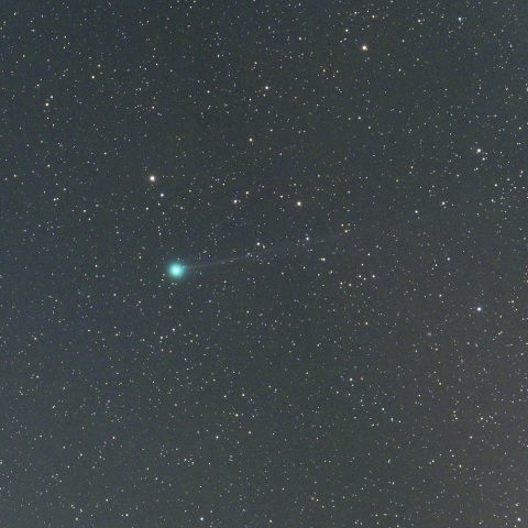 ８月２５日未明の西村彗星（Ｃ/２０２３ Ｐ１）