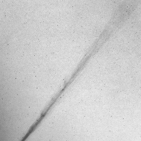 ９月１０日未明の西村彗星（Ｃ/２０２３ Ｐ１）