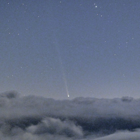 雲海に浮かぶ西村彗星