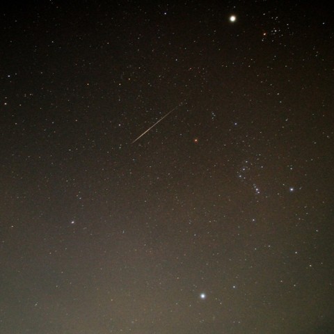 しし座流星群前日のおうし座流星群