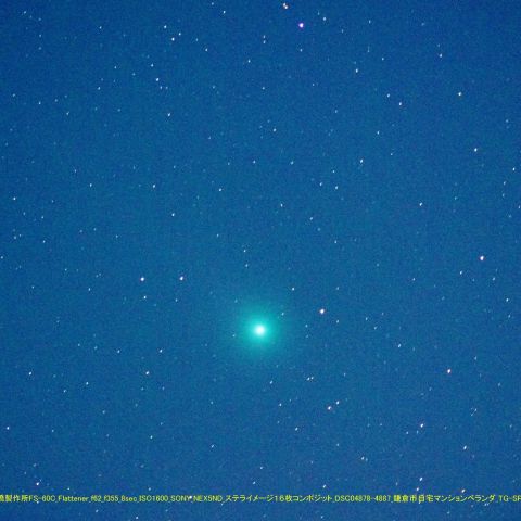 鎌倉市から見た元日のラヴジョイ彗星