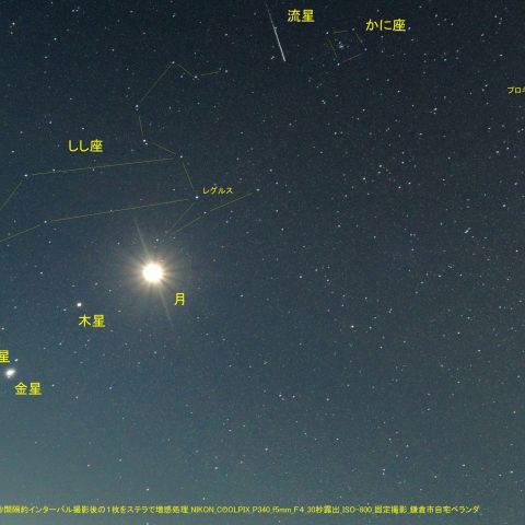 しし座の足元に、月と並んだ惑星たち