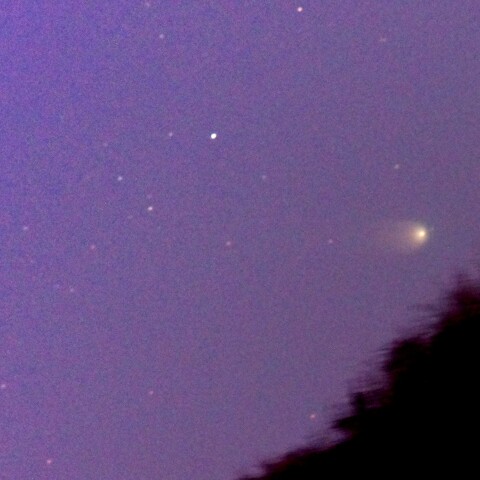 レナード彗星 C/2021 A1