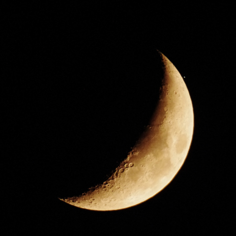 スピカ食　出現