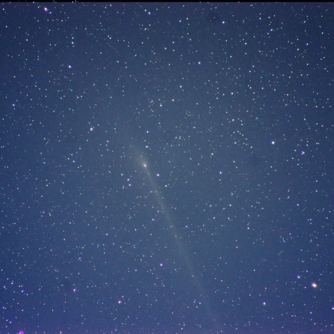 月明かり残る早朝のパンスターズ