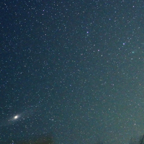 アンドロメダとレモン