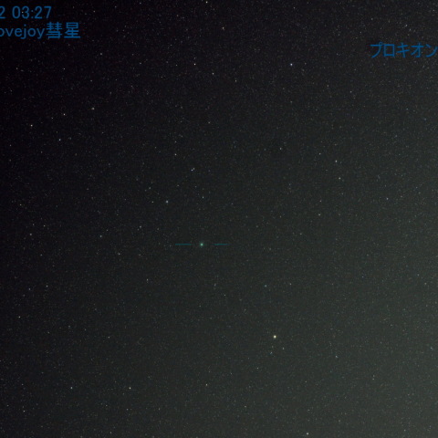 11/02 ラブジョイ彗星とプロキオン