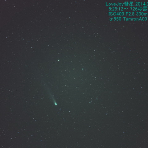 1月12日のラブジョイ（その２）