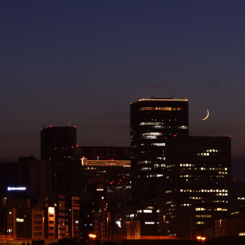 夜景と星々の共演