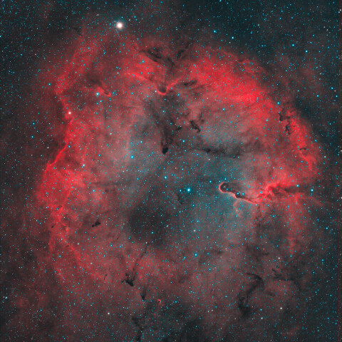 ケフェウス座のIC1396