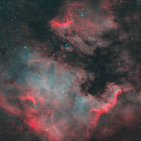 白鳥座の北アメリカ星雲/NGC7000