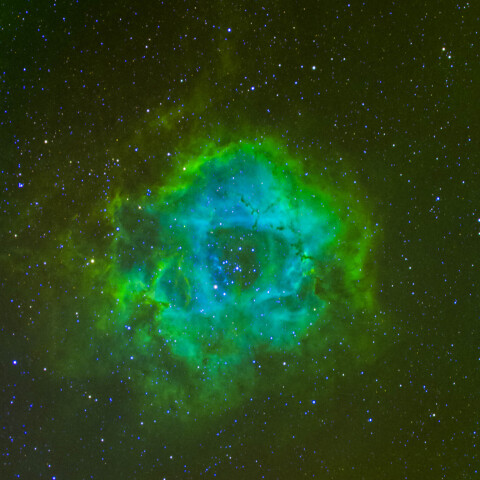 いっかくじゅう座のバラ星雲