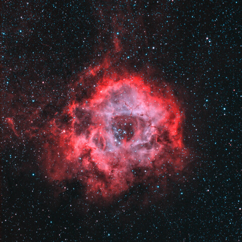 いっかくじゅう座のバラ星雲　NGC2237　HOO合成