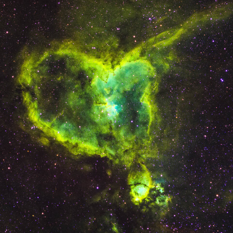 カシオペア座のハート星雲　IC1805