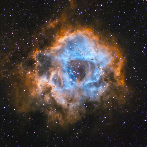 いっかくじゅう座のバラ星雲　NGC2237