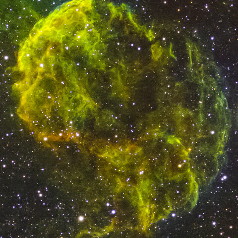 クラゲ星雲/IC443