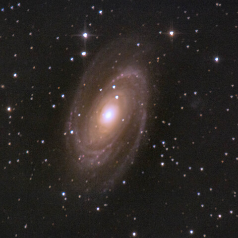 M81