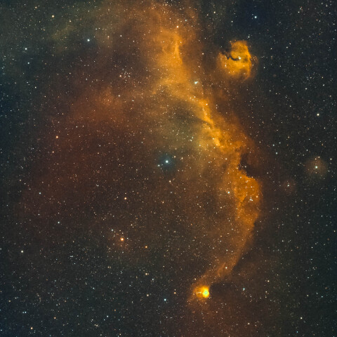 かもめ星雲/IC2177