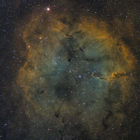 Mu Cephe/IC1396