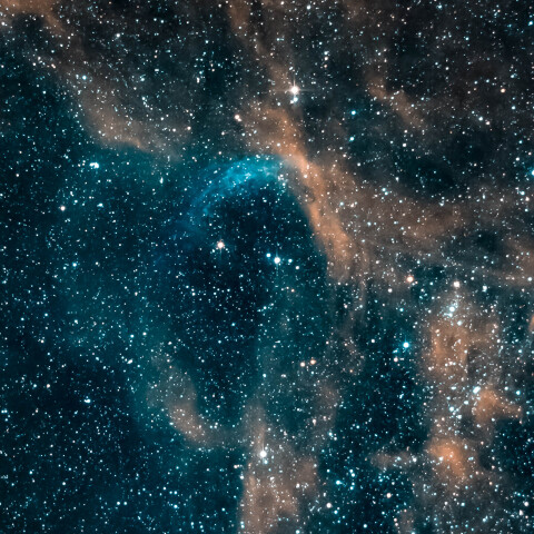 はくちょう座/ウォルフ・ライエ星/ＷＲ134