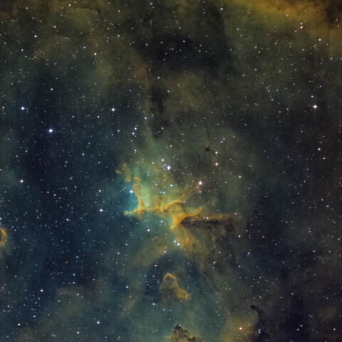 IC1805/ハート星雲