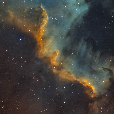 NGC7000/北アメリカ星雲/シグナスウォール