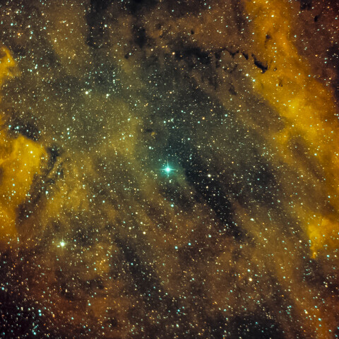 Sh2-119/はくちょう座の散光星雲