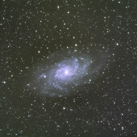 M33/さんかく座の銀河