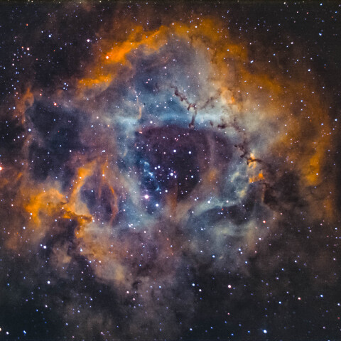 NGC2239/バラ星雲/一角獣座
