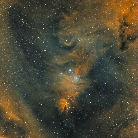 コーン星雲とクリスマスツリー星団/NGC2264/いっかくじゅう座