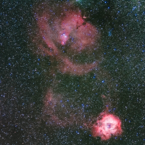 バラ星雲＆コーン星雲/いっかくじゅう座