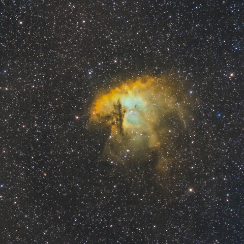 NGC281/パックマン星雲