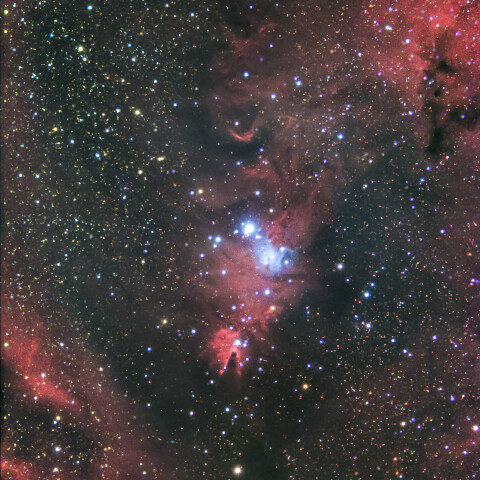 NGC2264/コーン星雲とクリスマスツリー星団