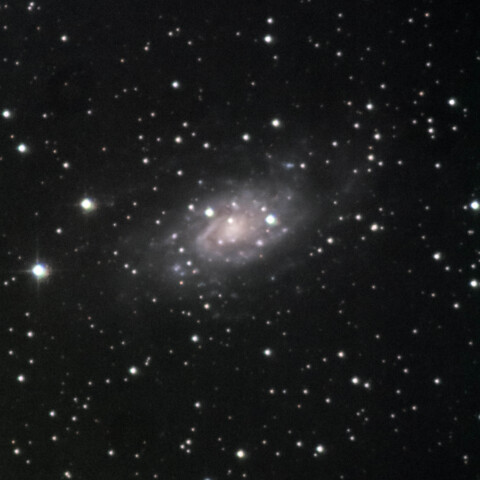 NGC2403 きりん座