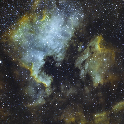 NGC7000　北アメリカ星雲　はくちょう座