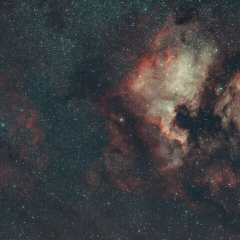 NGC7000　北アメリカ星雲