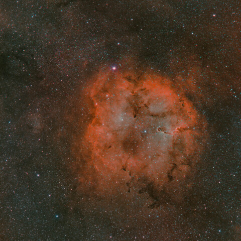 IC1396 ケフェウス座