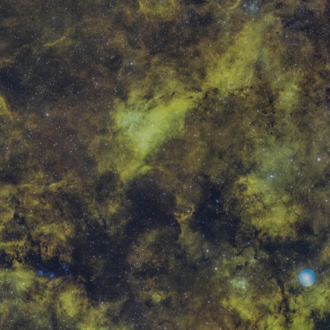 デネブ付近のはくちょう座の散光星雲