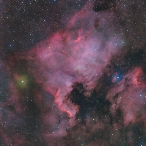 NGC7000 北アメリカ星雲 はくちょう座