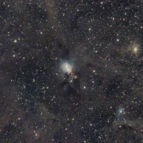 NGC1333 ペルセウス座のおうし座とおひつじ座の境界付近