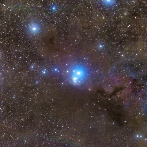 IC348 ペルセウス座