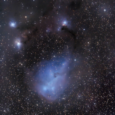 IC447/カタツムリ星雲 いっかくじゅう座