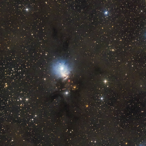 NGC1333 ペルセウス座 おうし座