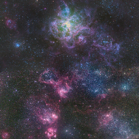 TASC-onリコリモ（タランチュラ星雲/南北)