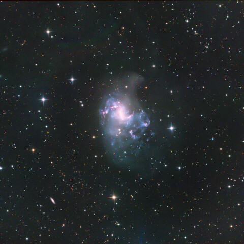 NGC1313 Topsy-Turvy銀河 レチクル座